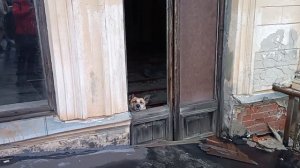 Усадьба Михайловка/Ольгинская церковь/Усадьба Знаменка