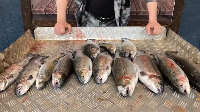 14,9 кг форели улов с малого безлимита смотреть онлайн