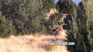 Sports Afield Sportsmen Channel ad