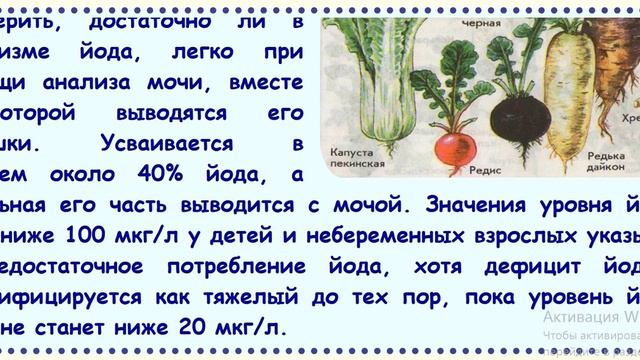 🆘 📡📶 МИКРОЭЛЕМЕНТ ЙОД • JODINE •  ЙОДОДЕФИЦИТ 🆕 смотреть онлайн