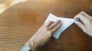 Машущий крыльями журавль.