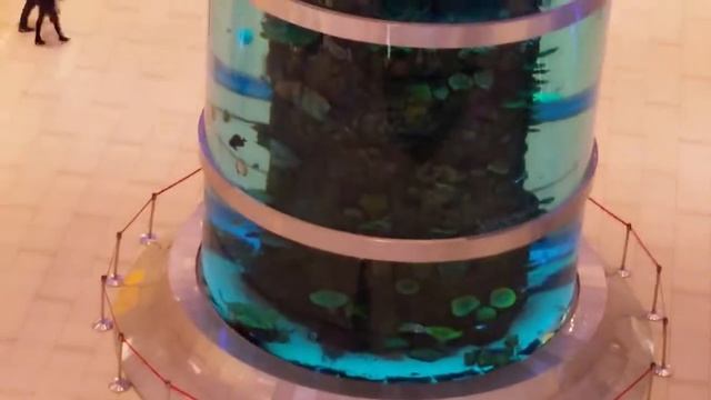 Москва ТРЦ Авиапарк колонна с рыбами смотреть онлайн