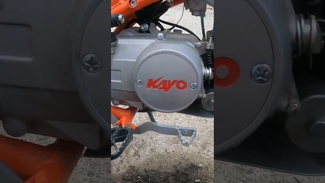 Замена масла на питбайке kayo basic 125 #rollingmoto #protection #питбайк #kayo #кадош