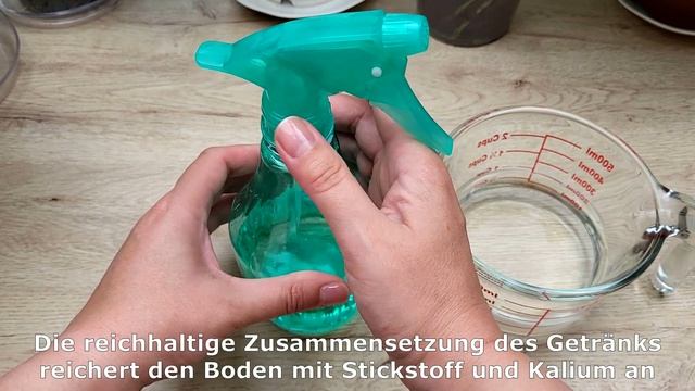 Hätte nicht erwartet, dass dieses Wunder so viele Ihrer Lieblingspflanzen für immer blühen lässt! смотреть онлайн