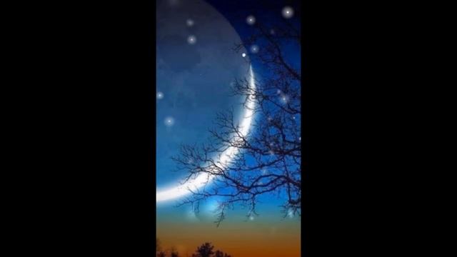#shorts Новолуние 12-13 ноября 2023! смотреть онлайн