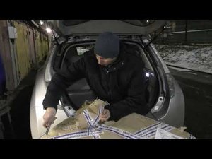 обязательный аксессуар в Nissan leaf