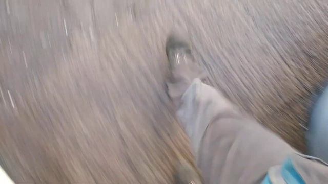 Разборка Citroen - C5 2004-2008, 1.6 HDI (VIN: VF7RE9HZC76811724) SK57YYW смотреть онлайн