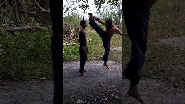 Insane Taekwondo Kick Skills!!!