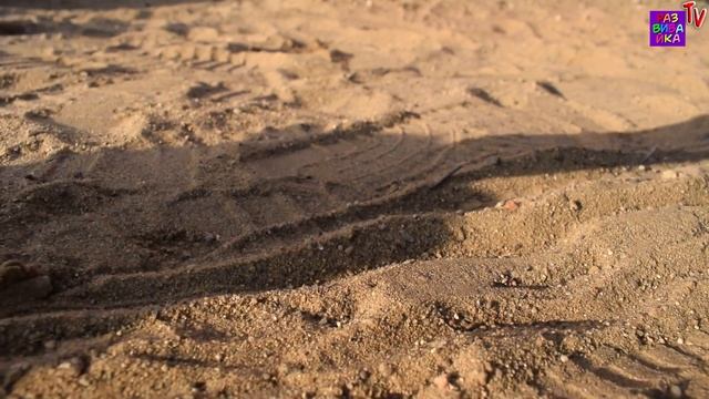 Вау! ?Ам ням ? играл на детской площадке что же он нашел в песочнице Да это же Пластилин Play Doh смотреть онлайн