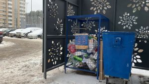 Переход на раздельный сбор мусора: Мусоропровод заваривать будем?