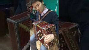 Мастеровая гармонь от Айрата Харисова