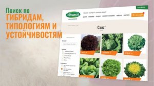 Новый сайт vilmorin.ru