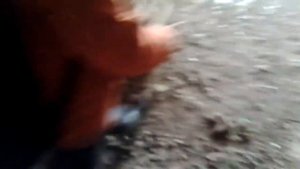 Тарас и  михан в заброшке