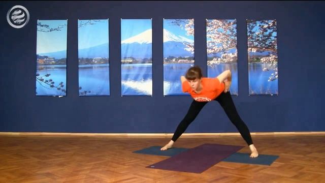 СВЕТЛАНА ЗАРЕЦКАЯ ОСВОЕНИЕ ПАДМАСАНЫ смотреть онлайн