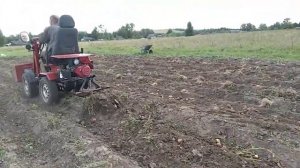 тестовые испытание картофелекопалки на минипогрузчике, копать мотоблок лень
