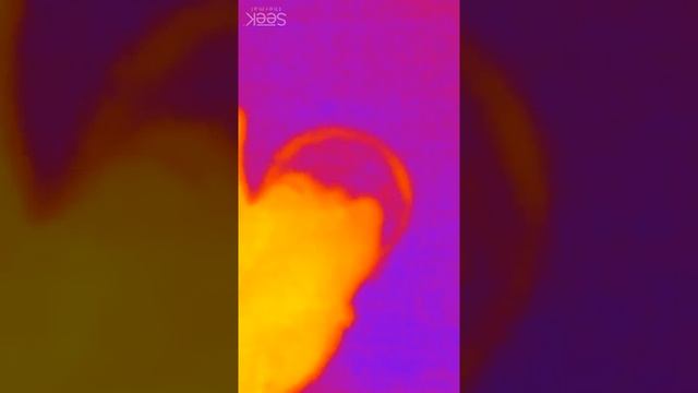 Thermal/IR Imaging - Hand in Glass Beaker