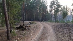 Pride RUBY, Alphard hw800 от усилителя Ural 4.150