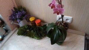 ПОДАРКИ С ЮГА ДЛЯ РОДНЫХ И БЛИЗКИХ. ЧТО ПРИВЕЗЛИ ИЗ АДЛЕРА ДЛЯ СЕБЯ.