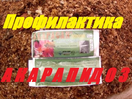 Акарапидоз-невидимый враг пчелиных семей.Профилактика и лечение Acarapis Woodi - ( Акарапис Вуди).