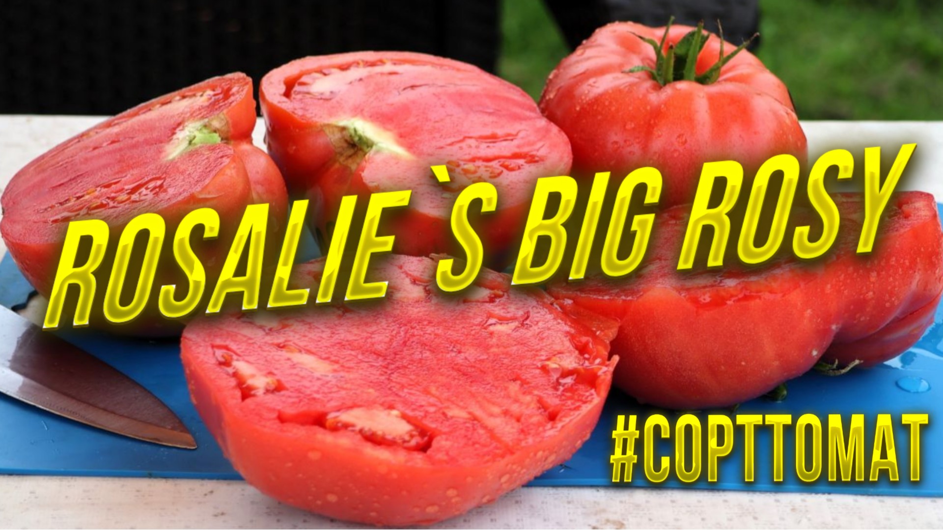 239 Rosalie`s Big Rosy, Видеообзор экзотических томатов. #Сорттомат