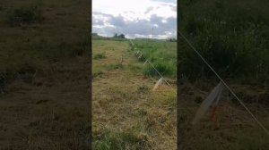 Получили участок как многодетные. Обустраиваем участок мечты.