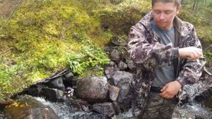 Парк Панаярви.( г.Кивакка, пороги р. Оланга)