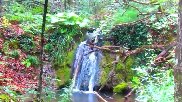 Сатера, - Долина водопадов и каменные Грибы! смотреть онлайн