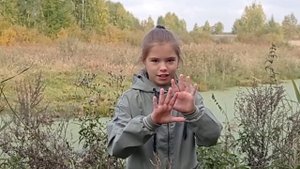 #Болото. #Окружающий мир. #проект.