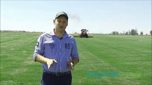 Процесс кошения газона Sagama Green