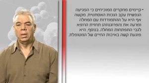 שחזור שד לאחר כריתה: מה שצריך לדעת