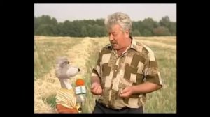 Как РАСТЕТ хлеб