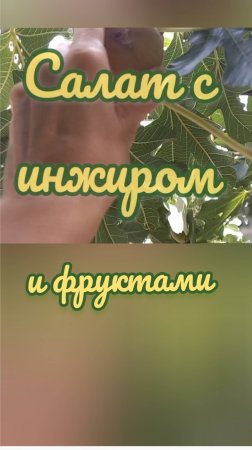 Хочется снова и снова - фруктовый салатик🍊🍌🍐🍑🍎