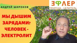 ЛЮДИ ДЫШАТ ЭЛЕКТРИЧЕСТВОМ? Разбор Теории Валерия Крымского