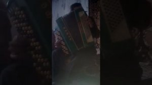Цыган играет на баяне Васька чубревичо