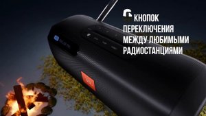 JBL Tuner FM беспроводная колонка с радио