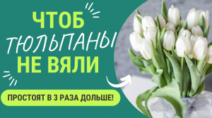 Чтоб ваши тюльпаны 🌷 простояли  в 3 раза дольше нужно...