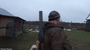 Охота с собаками | Ночь у костра | Собака держит глухаря