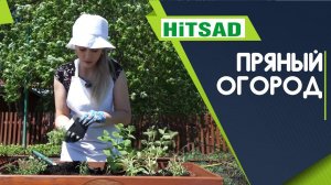 Пряный огород в высокой грядке ✔️ Лучшие пряные травы на грядке