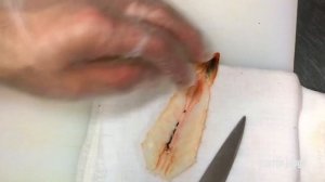 Креветки для суши  и роллов.