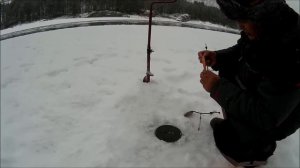 Зимняя рыбалка на хариуса в Горном Алтае. Выпуск-02.