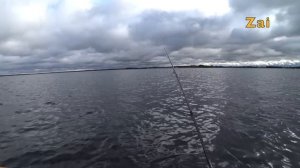 Самодельная БЛЕСНА из ЛОЖКИ сделала мою рыбалку.