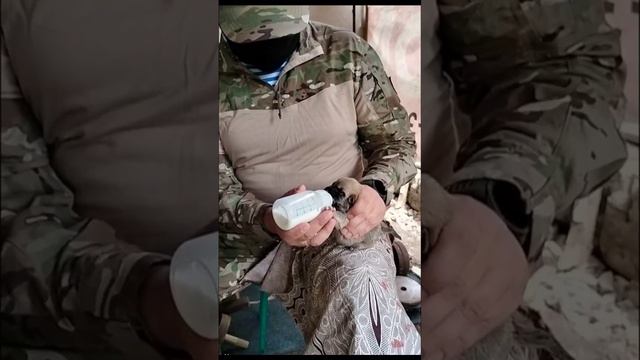 Вот он - десантный Батя