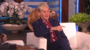 Идрис Эльба рассказывает о волнующем предложении Сабрине Дховре