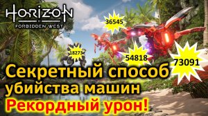 Horizon FW | Секретный способ убийства машин | 73091 Мировой рекорд по НЕкритическому урону