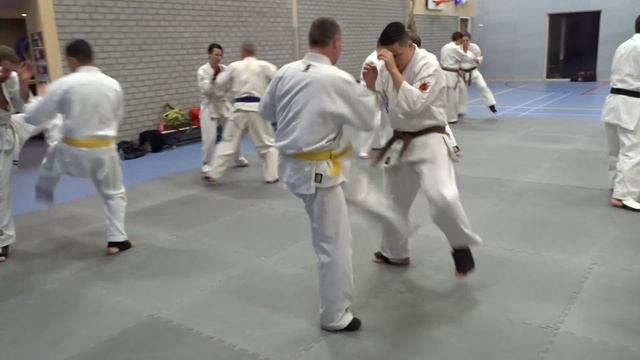Kihon Ashihara karate Zwijndrecht. Vrijdag 27-01-2017-2 смотреть онлайн