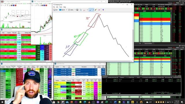 Finviz Screener Settings for the Most Profitable Stocks! смотреть онлайн