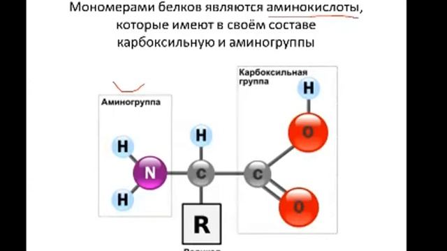 Органические вещества для СдатьЕГЭлегко. Разбор Баштанник Н.Е. смотреть онлайн