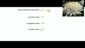 14 буква   Сод   арабского алфавита