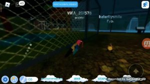 2 часть во́рона (семья птиц) игра под названием feather family