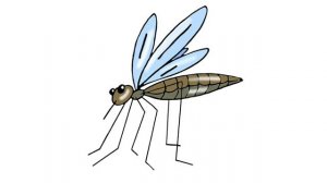 Spotlight 3 p.74 ex.1 CD&DVD